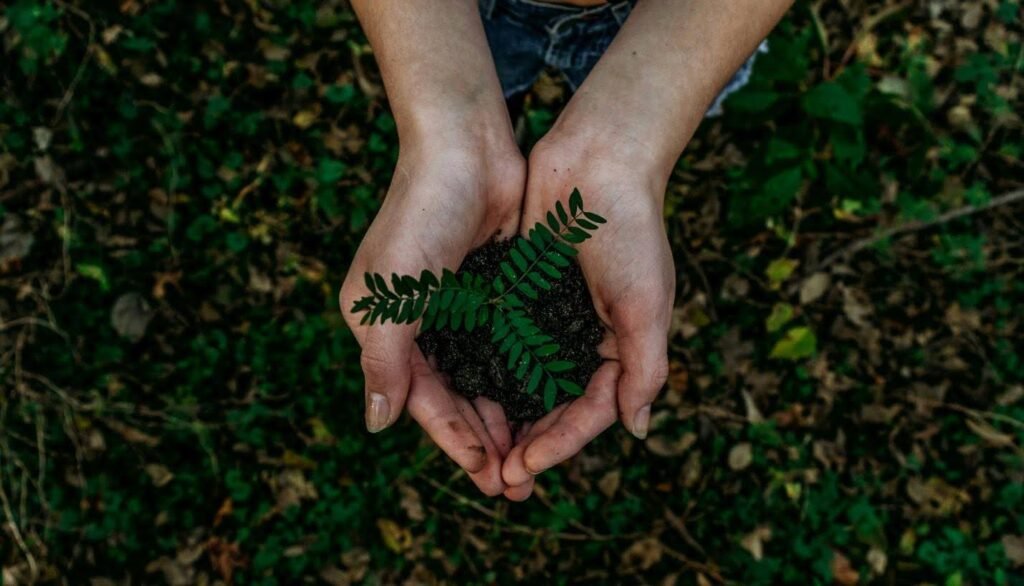 Sustainable Education: Building a Greener Future Through Learning