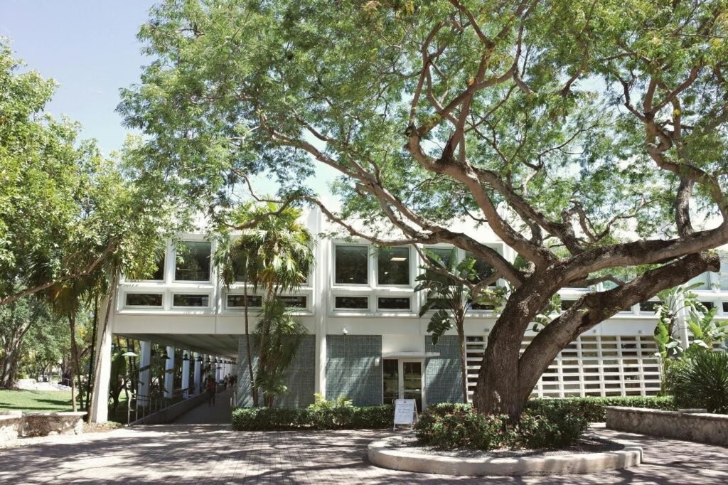 Sustainable Education: Building a Greener Future Through Learning