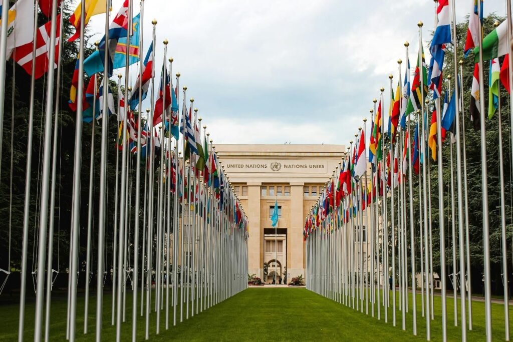 Sustainable Education: Building a Greener Future Through Learning