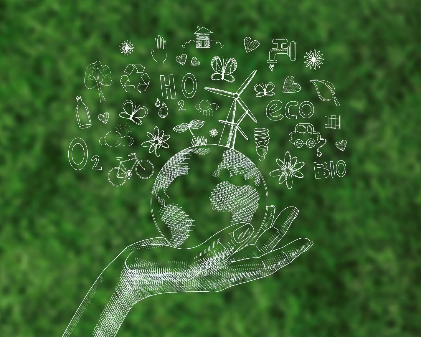 Sustainable Education: Building a Greener Future Through Learning